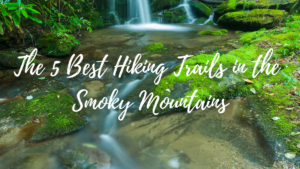 5 Best Hiking Trails in the Smoky Mountain National Park